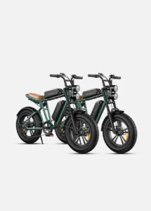 Engwe M20 Dual-Battery Combo Edition – High-Torque Moped-Style All-Terrain Electric Scrambler - Image 4
