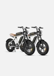 Engwe M20 Dual-Battery Combo Edition – High-Torque Moped-Style All-Terrain Electric Scrambler - Image 2