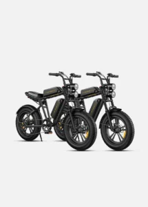 Engwe M20 Dual-Battery Combo Edition – High-Torque Moped-Style All-Terrain Electric Scrambler