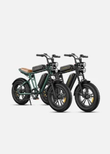 Engwe M20 Dual-Battery Combo Edition – High-Torque Moped-Style All-Terrain Electric Scrambler - Image 6