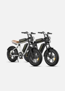 Engwe M20 Dual-Battery Combo Edition – High-Torque Moped-Style All-Terrain Electric Scrambler - Image 5