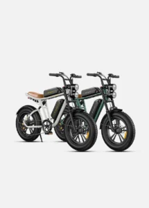 Engwe M20 Dual-Battery Combo Edition – High-Torque Moped-Style All-Terrain Electric Scrambler - Image 3
