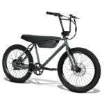 ZOOZ Ultra Urban 750W High-Performance BMX-Inspired Electric Bike (Raven Black)