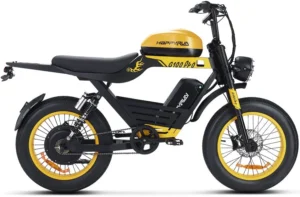 Happyrun G100 Pro 6000W Dual Battery High-Performance Electric Bike - Image 2