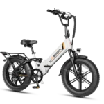 Official Jasion X-Hunter ST Folding E-Bike – 1400W Step-Through Fat Tire
