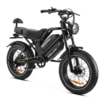 Happyrun Tank G70 1000W Dual Battery Electric Cargo Bike – Specs - Image 5