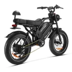 Happyrun Tank G70 1000W Dual Battery Electric Cargo Bike – Specs - Image 3