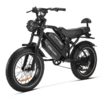 Happyrun Tank G70 1000W Dual Battery Electric Cargo Bike – Specs - Image 4