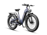 Official Jasion Thunder Pro ST Electric Bike – 2000W Step-Through Fat Tire - Image 2
