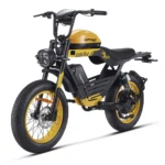 Happyrun Tank G100 Pro 6000W Electric Bike – High-Voltage E-Moto Specs - Image 3