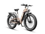 Official Jasion Thunder Pro ST Electric Bike – 2000W Step-Through Fat Tire